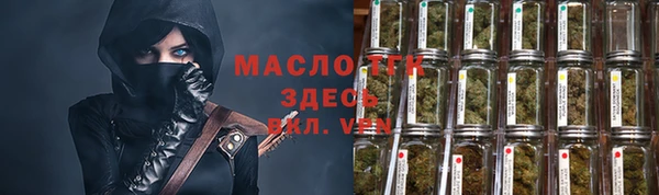 хмурый Тавда