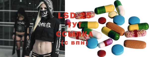 хмурый Тавда
