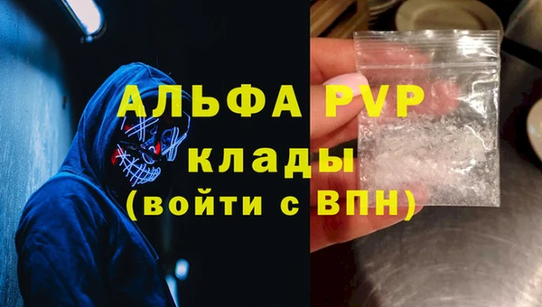 хмурый Тавда