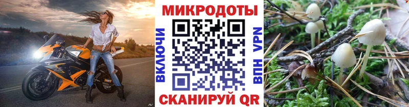 гидра tor  Борзя  Галлюциногенные грибы Magic Shrooms  магазин продажи наркотиков 