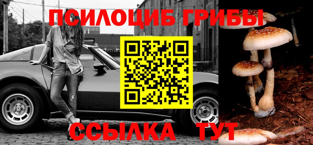 Псилоцибиновые грибы ЛСД  наркошоп  Псилоцибиновые грибы Psilocybe  Борзя 