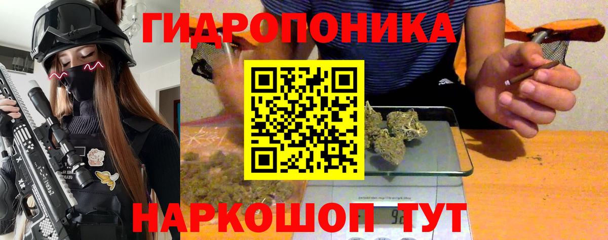 Канабис индика Борзя